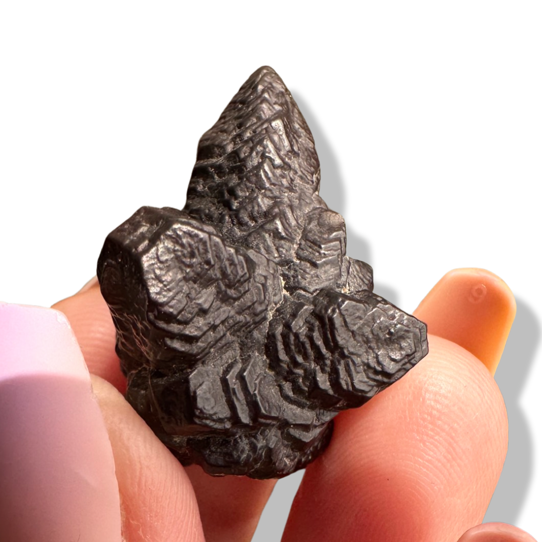 Pseudomorph, ‘Prophecy Stone’ Marcasite, Pyrite, replaced by Limonite & Hematite,Sahara Desert