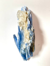 Load image into Gallery viewer, Extra Quality Blue Kyanite on Golden Healer, Gerais Minas, Brazil
